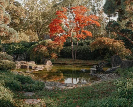 Beautiful Japanese Garden and red trees at autumn seson. A burst of fall color with pond reflections.