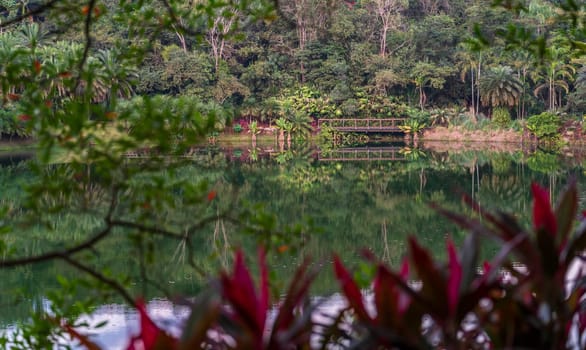 Tranquil lake with a wooden bridge in lush tropical scenery.