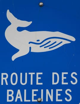 whale way sign in french