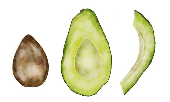 Avocado slices watercolor set. A ripe fruit and its parts hand drawn on a white isolated background. A staple food and a popular ingredient in a healthy diet. For menu design and banner design for nutritionists