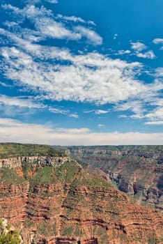 Grand Canyon view panorama from north rim