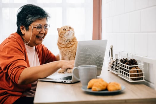 In the morning, a woman and her elderly cat share a moment of togetherness at the desk, as she works on her laptop. Their bond is a heartwarming example of owner-pet companionship. pet love