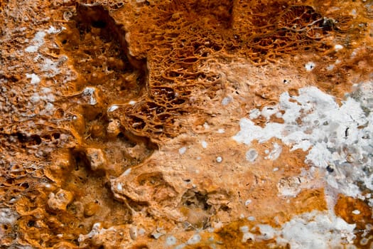 yellowstone hot springs natural background texture with superb colors