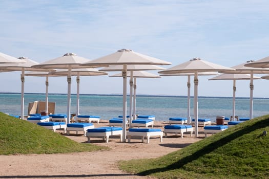 tropical Holiday. Empty beach with umbrellas and sun loungers