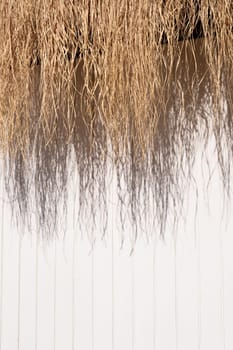 Thatching straw roof isolated on white background, hard light