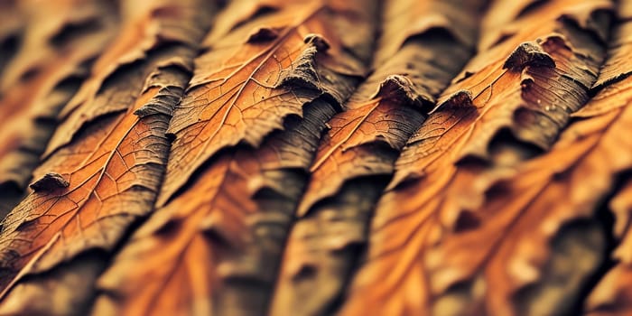 Intricate patterns and textures of leaves close-up. Generative AI