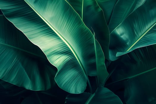 Abstract tropical banana leaves dark green full-frame background. Neural network generated in January 2024. Not based on any actual scene or pattern.