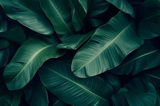 Abstract tropical banana leaves dark green full-frame background. Neural network generated in January 2024. Not based on any actual scene or pattern.