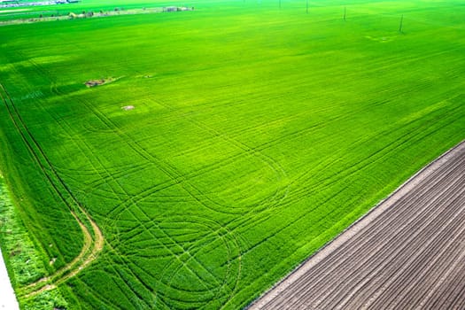 Aerial shot of fields with a tractor traces on the green agricultural field. 