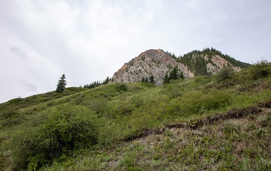 two rocky hills on the green grass.