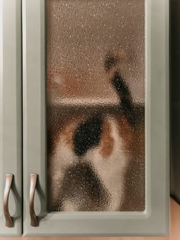 The cat behind the textured glass door.