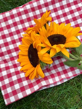 Bright sunflowers on red and white checkered cloth over green grass, picnic concept with a summer vibe for outdoor lifestyle design. ideal for summer themed designs, picnic event promotions, agricultural and gardening content, as well as for lifestyle blog posts, outdoor activity materials, and home decor inspiration. It can also be used in advertising for outdoor products, seasonal greetings, and invitations. High quality photo