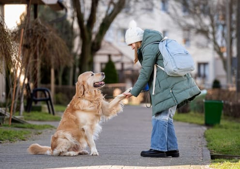 Golden Retriever Gives Paw To Its Young Girl Owner During Winter Walk With Dog