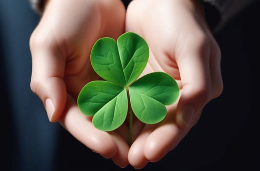 Close-up of a green three-leaf clover in the palms, a traditional Irish symbol