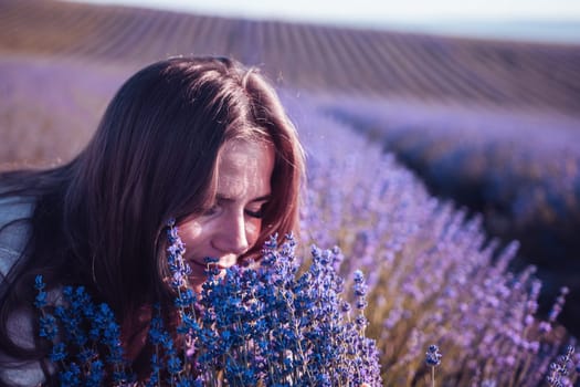 Lavender flower blooming scented fields in endless rows. Selective focus on Bushes of lavender purple aromatic flowers at lavender field. Abstract blur for background.