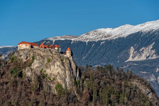 Bled lake rock castle aerial view panorama in winter season