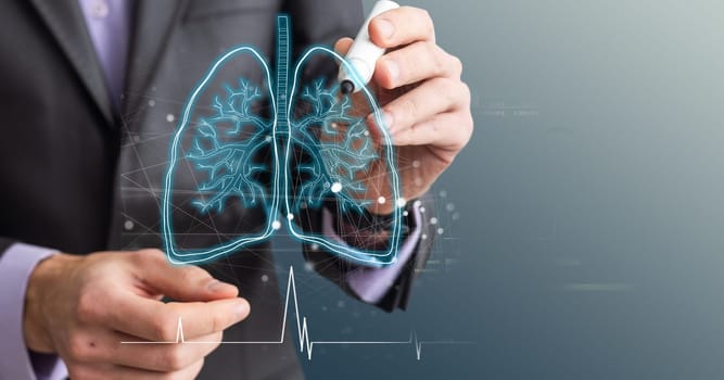 Healthy Human Lungs 2d illustration. High quality photo