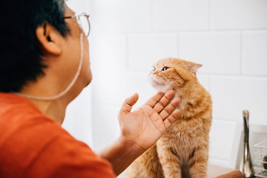 A senior lady shares a moment of togetherness with her mature Scottish Fold cat, their bond evident in her wrinkled hands gently petting her beloved feline friend. portrait of old friends' happiness.