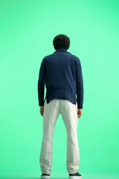 A man, full-length, on a green background.