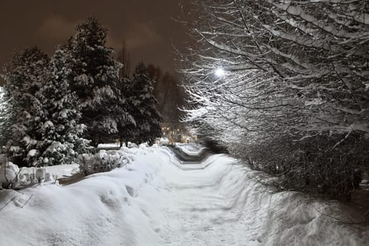 Winter cityscape in park in Moscow, Russia