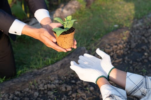 Eco-business company empower farmer with eco-friendly farming practice and clean agricultural technology. Cultivate sustainable future nurturing plants to grow and thrive. Gyre