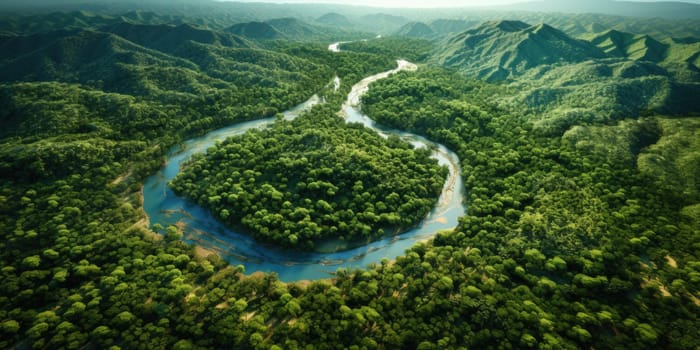 A river meanders through a vibrant green forest, surrounded by towering trees and lush vegetation.