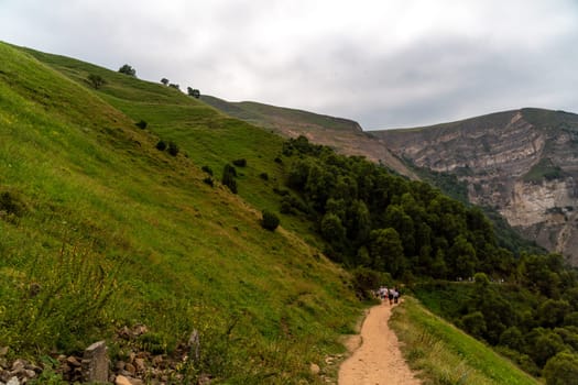 Caucasian mountain. Dagestan. Trees, rocks, mountains, view of the green mountains. Beautiful summer landscape