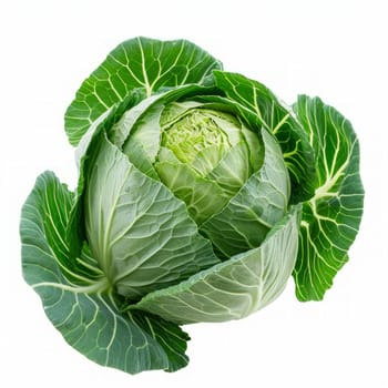 cabbage isolated on white background, clipping path, full depth of field.