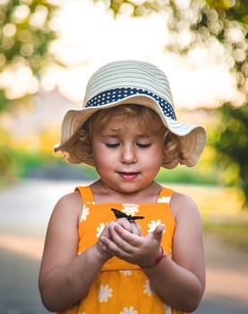 A child catches a butterfly in nature. selective focus. kid.