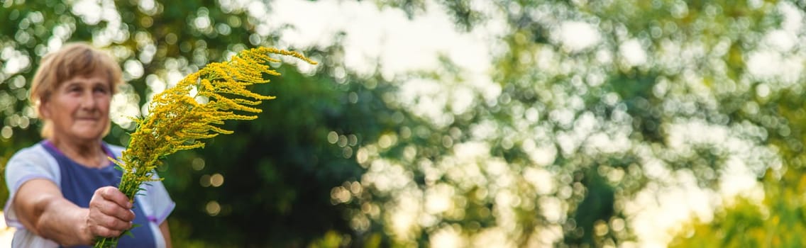 An elderly woman is allergic to ragweed. selective focus. Nature.