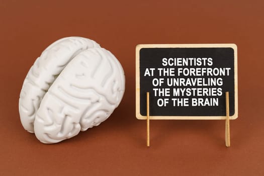 On a brown background, a model of the brain and a sign with the inscription - Scientists at the forefront of unraveling the mysteries of the brain. Science and technology concept.