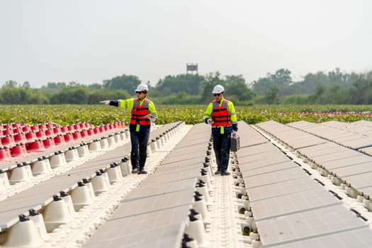 Wide shot of two professional workers walk along footpath in area of base of solar cell panels network.