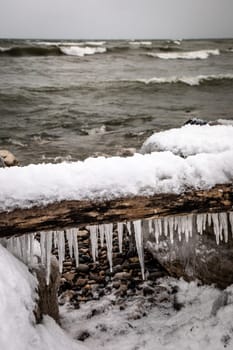 Icicles hanging from an old log on a rocky beach with waves. Southampton, Ontario, Canada