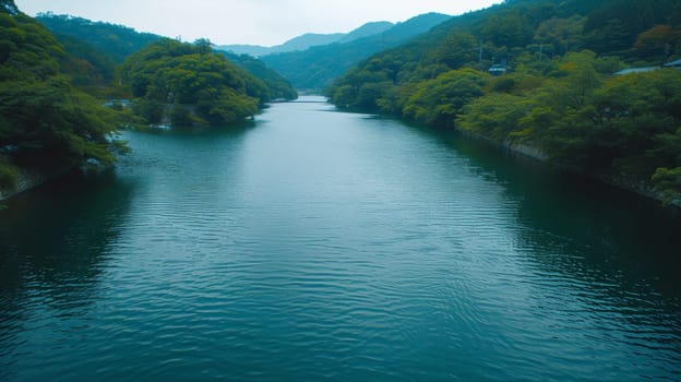 A river with trees on both sides of it and a boat