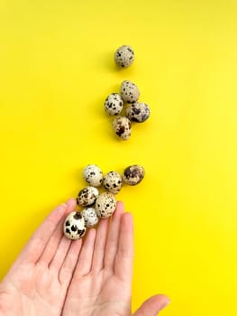 Open hands presenting quail eggs on vivid yellow backdrop, symbolizing nutrition, Easter celebrations, and the joy of spring with ample space for text. High quality photo