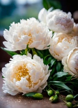 multi-colored peonies bloom in the park. Selective focus. nature.