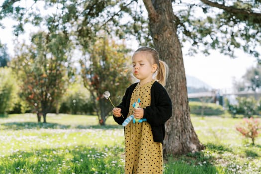 Little girl blows on a dandelion in her hand while standing in a sunny meadow under a tree. High quality photo