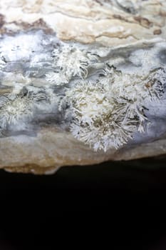 Close-up of distinctive crystals in a shadowy limestone cave.