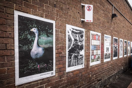 GEELONG, AUSTRALIA - JANUARY 26 2024: The laneways and artwork around Minns Lane near Little Malop St on a warm summer's morning in Geelong, Victoria, Australia