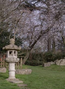 Decorative japanese stone lantern in front of Cherry blossom trees in The Japanese Kyoto Garden at Holland Park. A Japanese Garden designed to bring Japanese landscaping to London, Space for text, Selective focus.