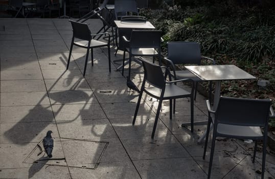 Empty tables and chairs shadows outside a cafe and pigeon on the pavement. Sunlight shine through tables and chairs in the afternoon, Space for text, Selective focus.