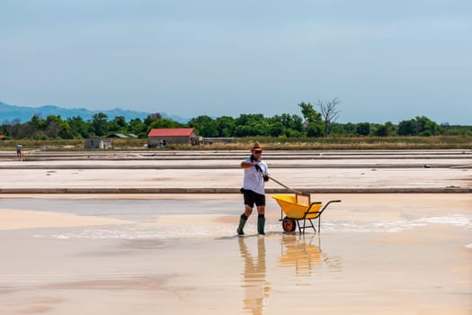 Nin, Croatia - 8 July 2021: Man picking up salt in the swamp and filling the wheelbarrow. Salt farmer harvesting the salt. Sea salt is salt that is produced by the evaporation of seawater.