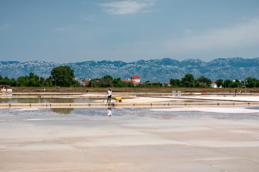 Nin, Croatia - 8 July 2021: Man picking up salt in the swamp and filling the wheelbarrow. Salt farmer harvesting the salt. Sea salt is salt that is produced by the evaporation of seawater.