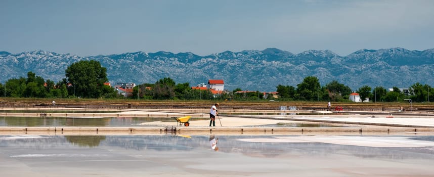 Nin, Croatia - 8 July 2021: Man picking up salt in the swamp and filling the wheelbarrow. Salt farmer harvesting the salt. Sea salt is salt that is produced by the evaporation of seawater.