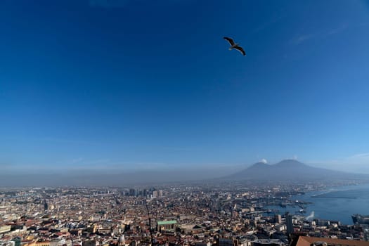 Naples aerial view panorama cityscape