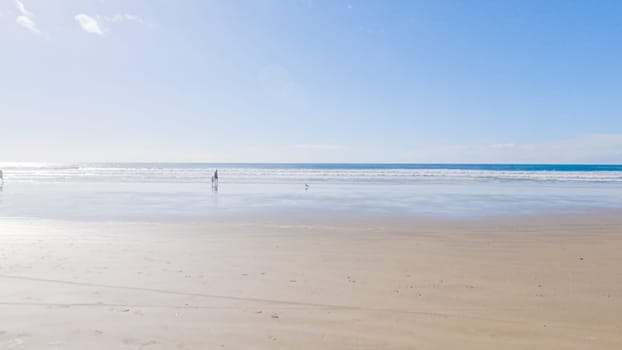 Pismo Beach is strikingly empty during a winter day, offering a serene and peaceful atmosphere with its expansive sandy shore and the soothing sounds of the waves.