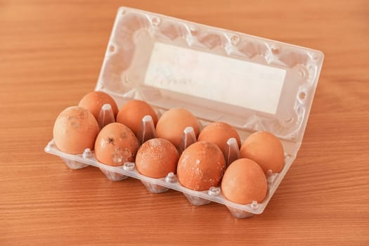 Pack of mouldy eggs in plastic box, mildew developed after storing improperly in wet fridge for long time