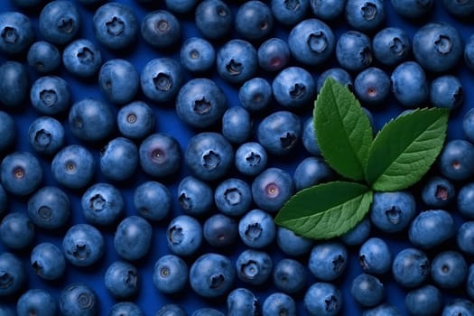 Fresh blueberries with green leaves on a blue background.