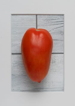 Tomato in frame on white wooden background