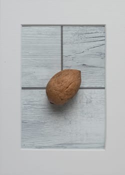 Walnut in frame on white wooden background